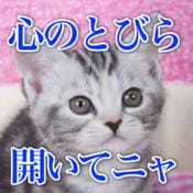 猫の語り画像