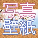 写真壁紙画像